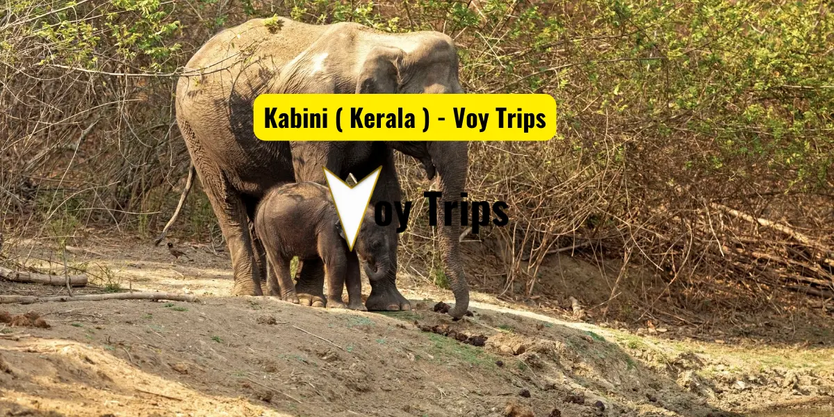 places to visit near Bangalore