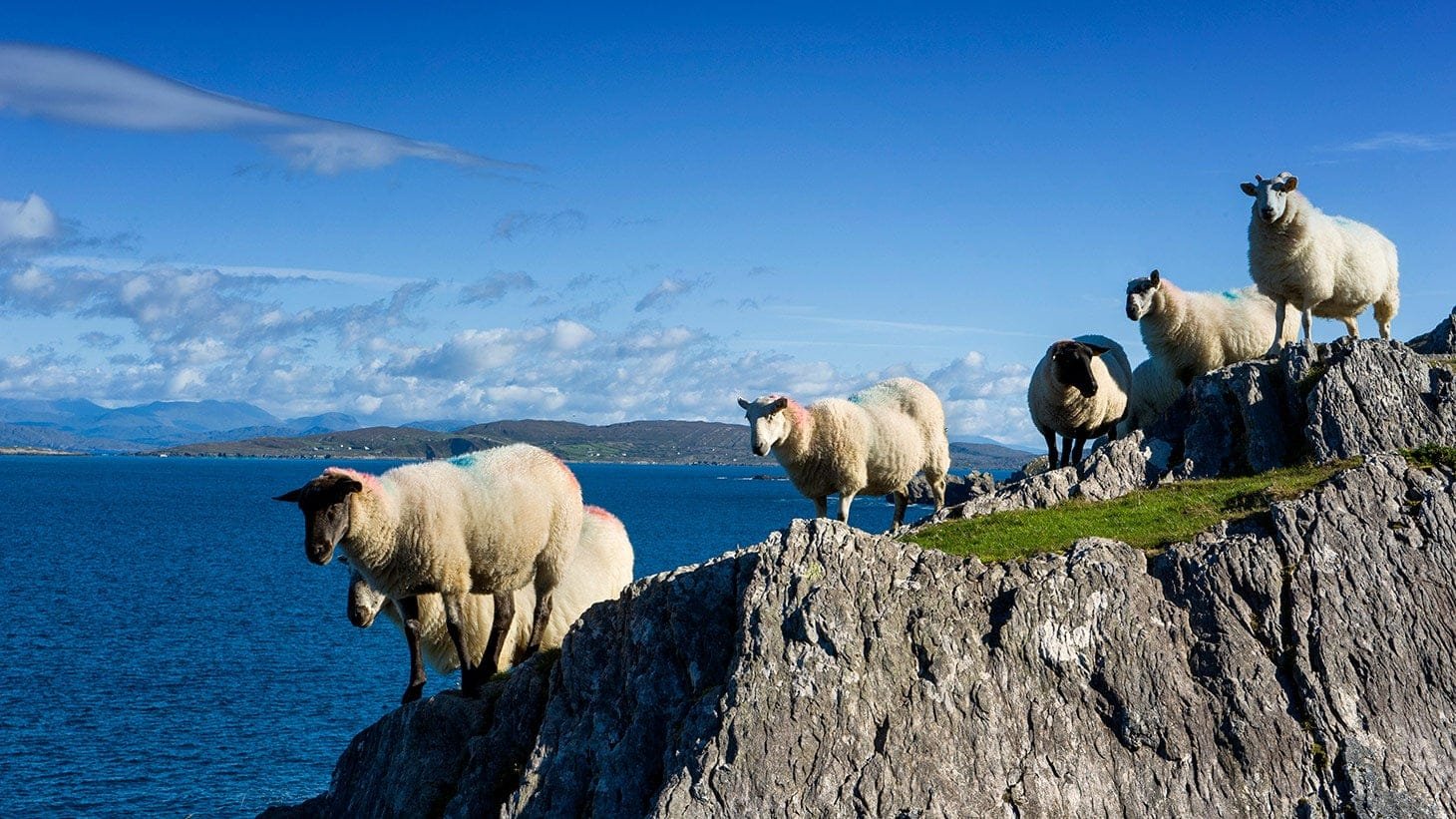 beara peninsula